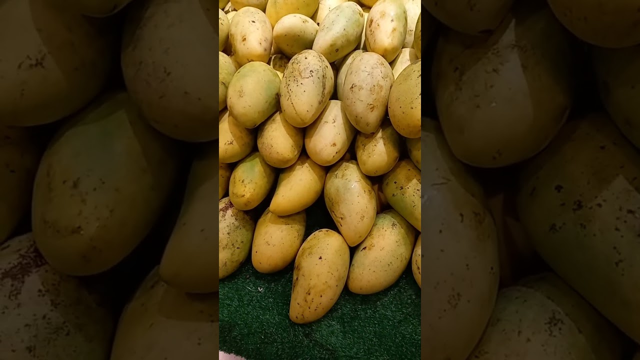 Mango from Cebu 