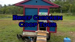 Mobile chicken coop electric pig fence and fun in the