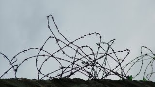 Why Do We Need Prison Reform