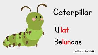Butterfly Lifecycle - Kitaran hidup rama-rama (Tema Prasekolah) Butterfly Lifecycle - Kitaran hidup rama-rama (Tema Prasekolah)