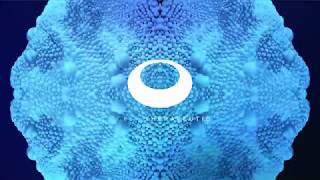 leaf beach. - Solitude