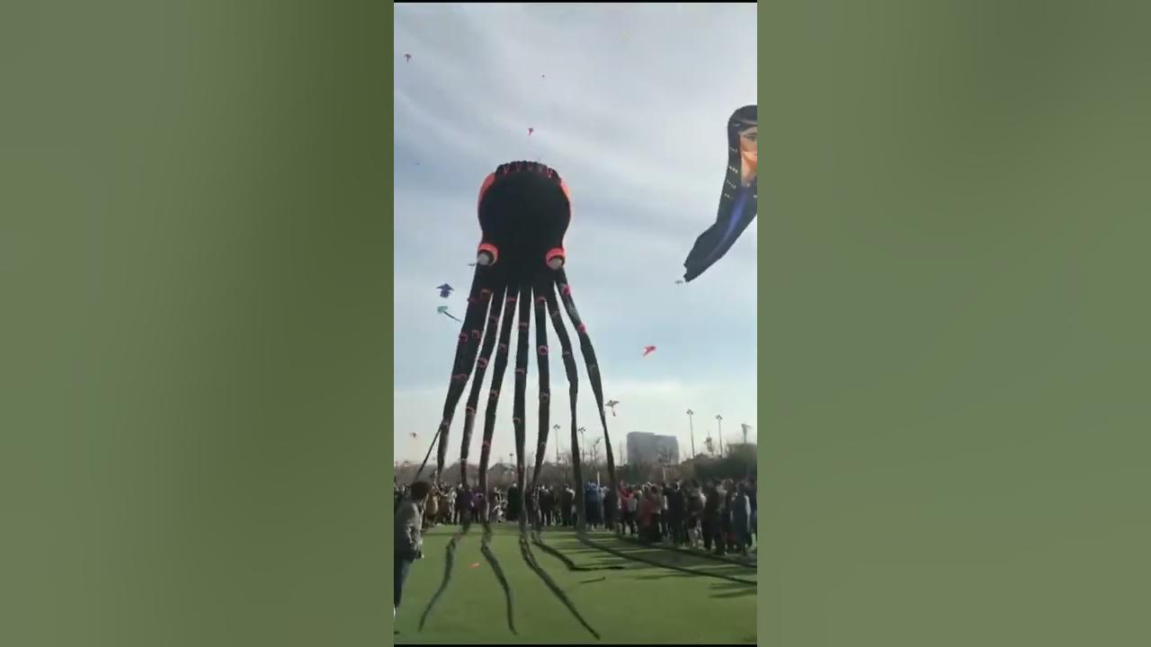 Layangan cumi cumi