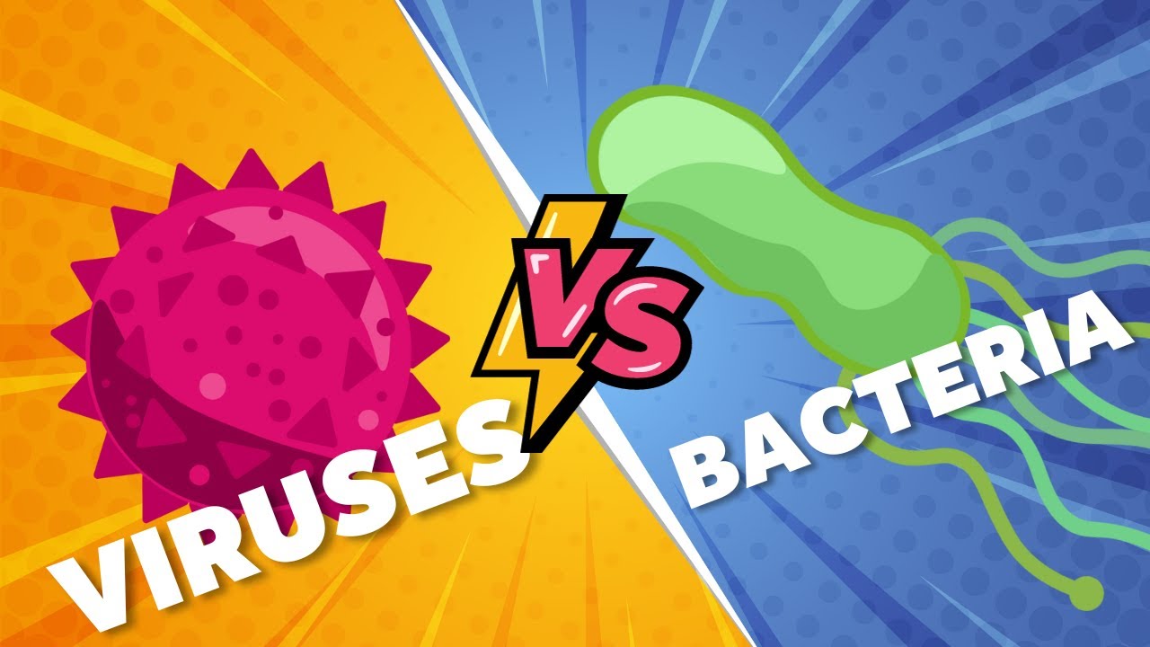 Tiny Titans: The Differences Between Viruses and Bacteria in the Battle ...