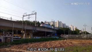 (7477호 견인 화물잡음ㄷㄷ) 화명생태공원 포인트에 가보았다! (2020.05.29)