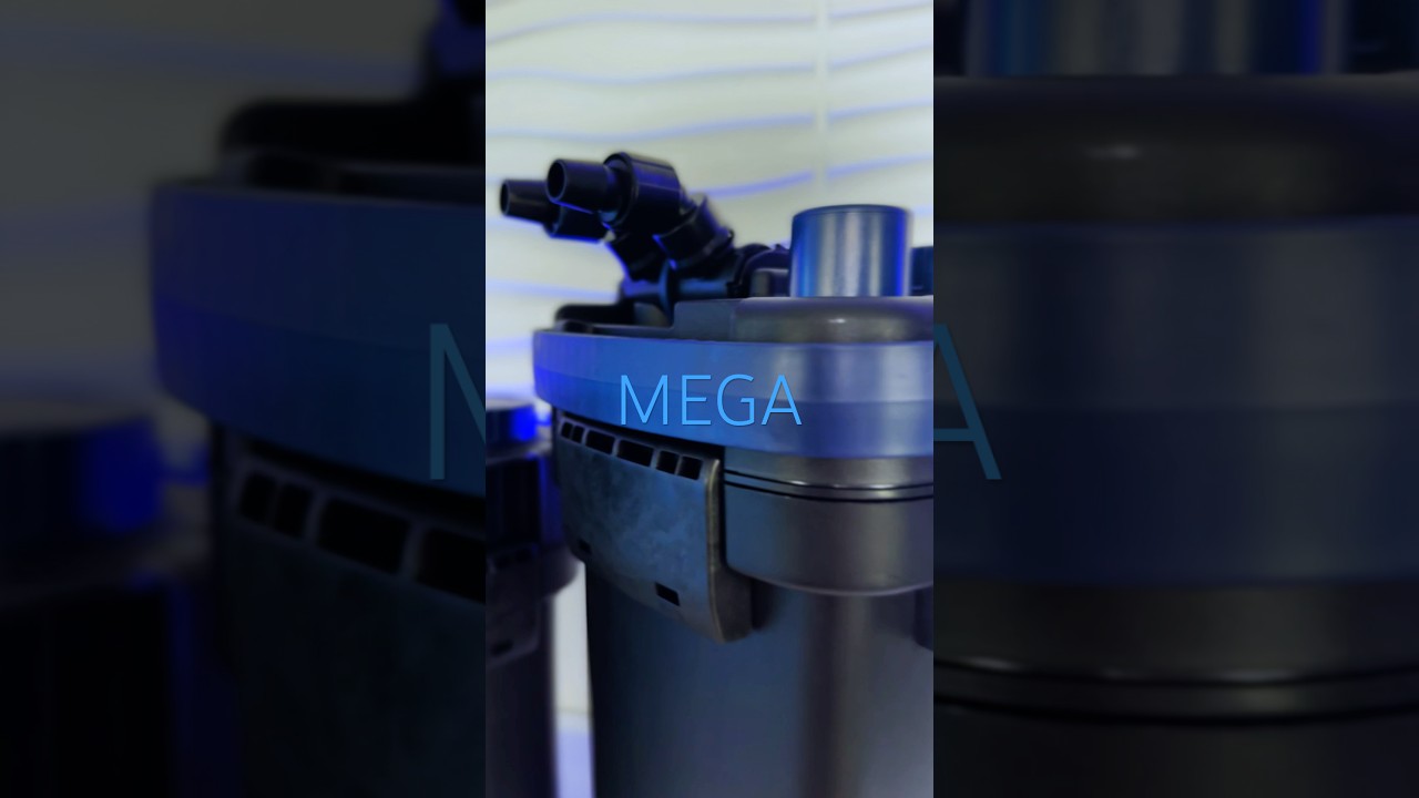 The Mega Filtra a canister filter by SICCE