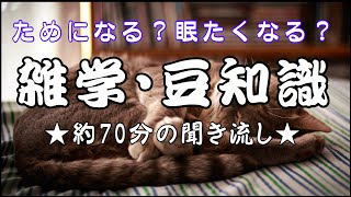 【雑学】【聞き流し】雑学・生活の豆知識…生活・防犯。睡眠・作業用・脳トレにも。