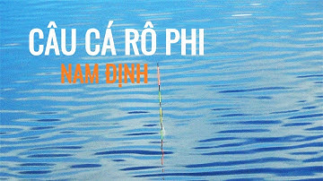 🎣 Trải nghiệm câu cá rô phi tự nhiên tại Nam Định | Điểm câu lý tưởng cho cần thủ