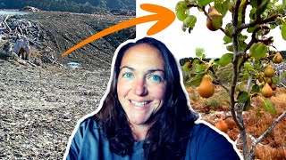 One Step that SUPERCHARGED my Food Forest GROWTH by Fantail Valley Homestead 642 views 3 months ago 8 minutes, 26 seconds