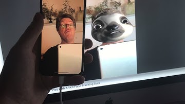 Face Tracking on an iPhone X and Unity.