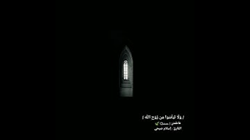 تلاوة طمأنينة لراحة قلبك سورة يوسف.