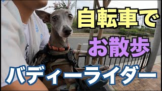 愛犬とお散歩 バディーライダー