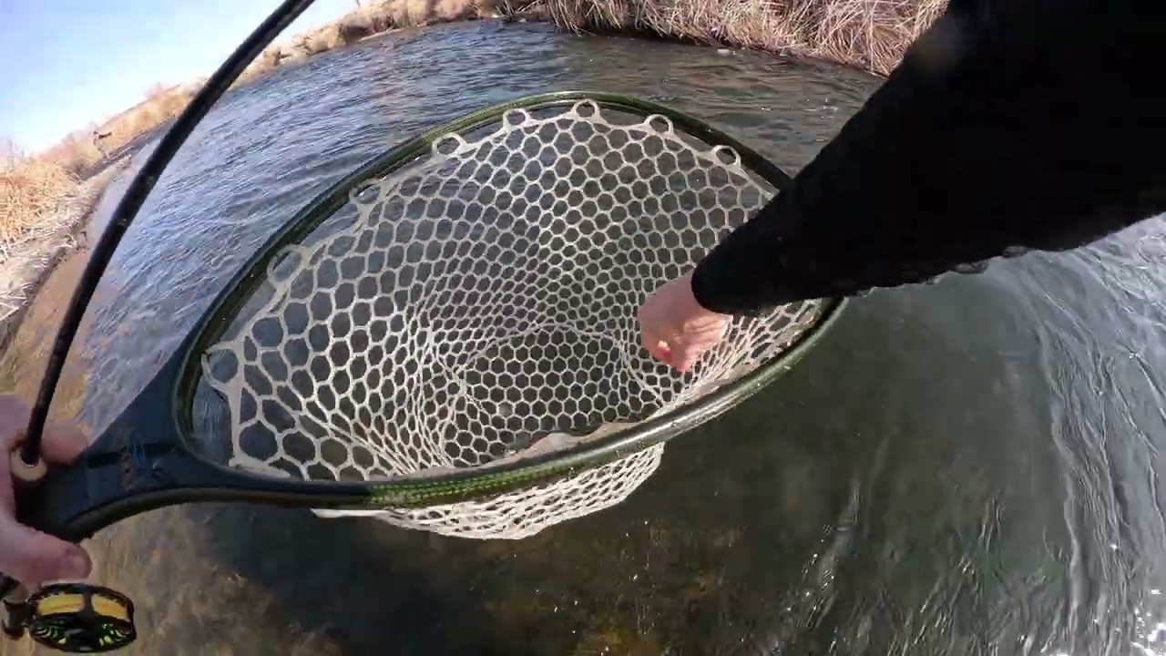 Lower Owens Euro Nymphing in Bishop CA 1-30-26