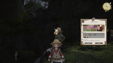 FFXIV Botanist Class Quest: Sap for Smiles