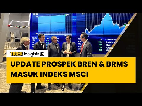BREN & BRMS Siap Masuk MSCI? Investor Wajib Tahu Strategi Trading Ini!