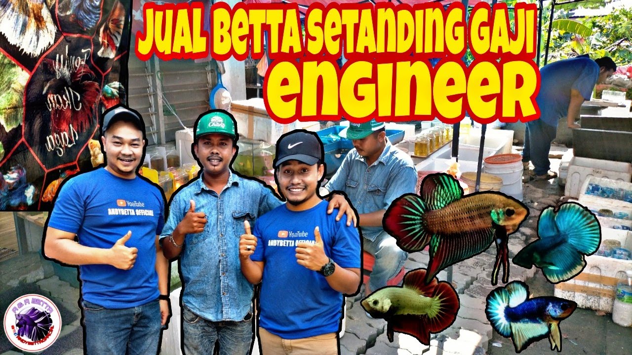 TERJAH FENDY BETTA FARM AAE // KONGSI PENGALAMAN PAHIT & MANIS SEPANJANG MENJADI BREEDER FULLTIME‼️