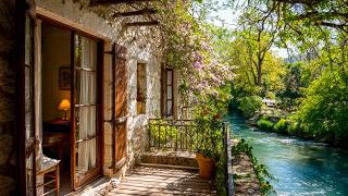 Peaceful Spring Balcony by the River 🌿🌷 Birdsong, Water Flow and Nature Calm for Quiet Mornings