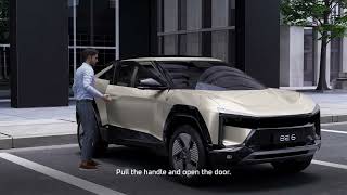 BE 6 | Electric Flush Door Handle PKE