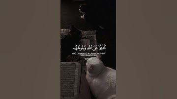 (يوم القيامة تري الذين كذبوا علي الله)القارئ: عبدالبديع غيلان