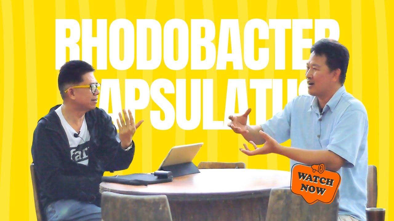 🔴 จุลินทรีย์สังเคราะห์แสง ใบทองหลางน้ำ ก้านแดงมีหนาม : 5 ประเด็นที่หลายคนยังเข้าใจคลาดเคลื่อน