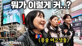 한국 시골에만 살던 몽골 여고생들이 졸업 여행으로 온 서울 한복판에서 꺼낸 첫 마디.. | 한국에서 뭐하지?