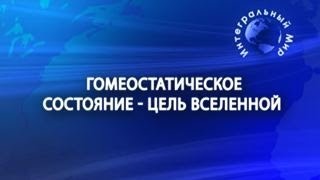 Гомеостатическое состояние - цель вселенной