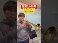 激安3,000円トランペットで『ハトと少年』演奏してみた！ #トランペット #trumpet
