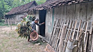 Agak Was Wass‼️Rumah Mencil Di Atas Bukit Cuma 5kk+ Sampai Di Kejar 4j1ng,Suasana pedesaan Th 70an