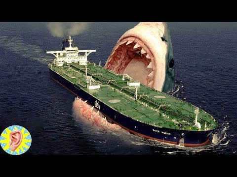 Dünyanın En Büyük Köpekbalığı MEGALODON ve 5 Korkunç GERÇEK
