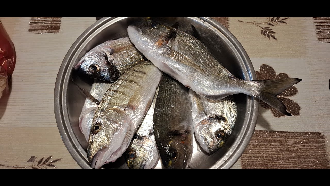 Ψαρεμα Στον Βραχο 2 3 2025