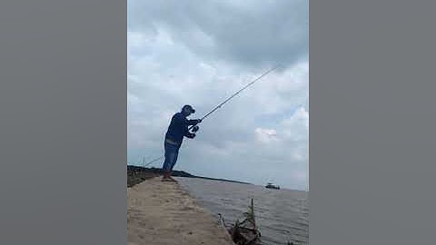 Điểm câu cá mới tại Cần Giờ | Cá vồ biển.