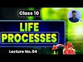 Life Processes class 10 science  biology || lecture no. 4 || NCERT ||By AJAY BHAI