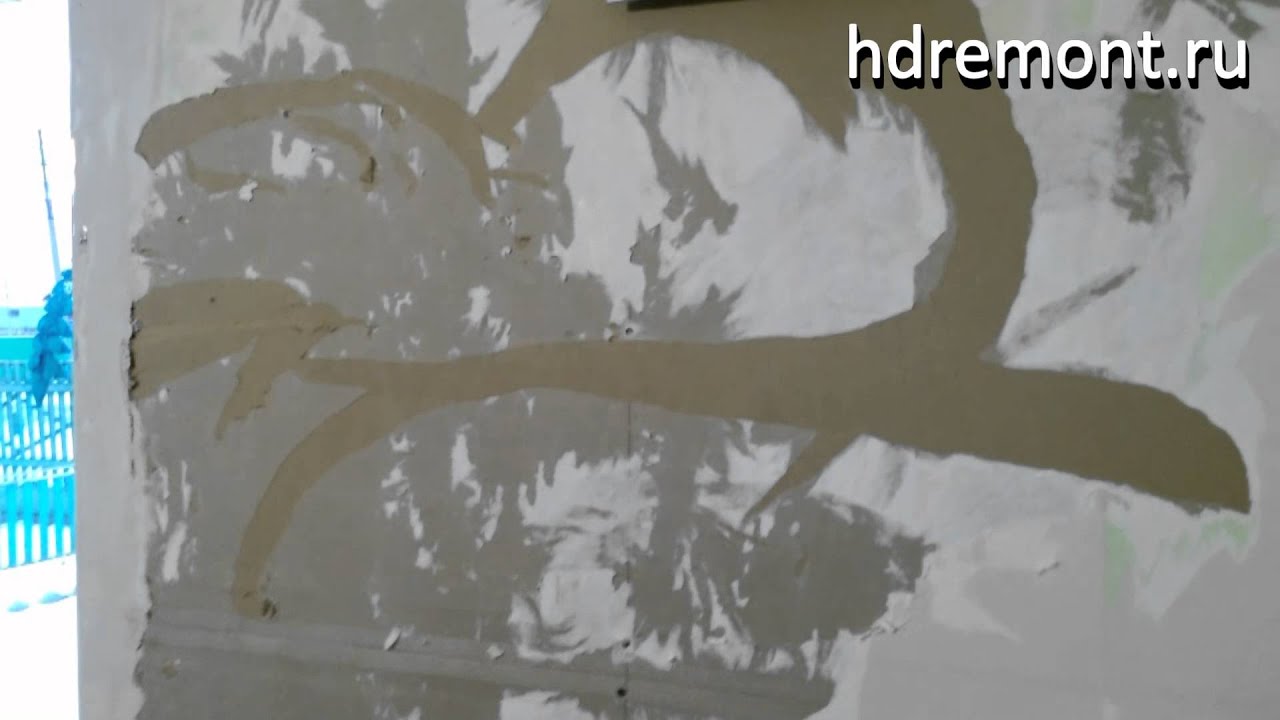 Наглядный ответ на вопрос: Нужно ли шпаклевать гипсокартон?