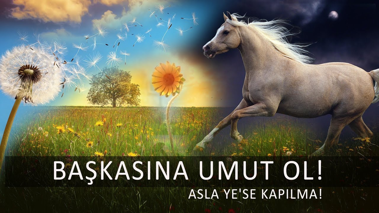 Başkasına Umut Ol! | Asla Ye'se Kapılma! | M. Fethullah Gülen