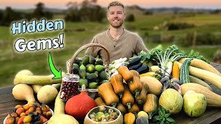 Harvesting and Tasting my WEIRD and WONDERFUL Homegrown Produce!