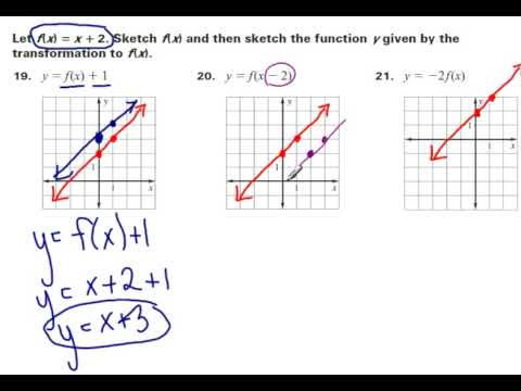 How to write an equation for a vertical translation