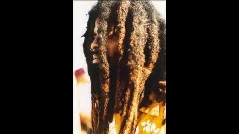 Biostacis - Brain Hack