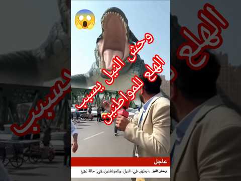 الوحش النيلي طالع من النيل والمذيع المصري بيغطي الحدث وهو مرعوب 