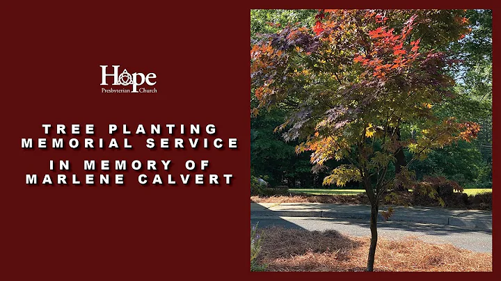 Tree Planting Memorial Service in Memory of Marlen...