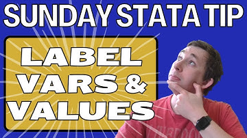 Master Labeling Variables and Values in Stata in Under 3 Minutes