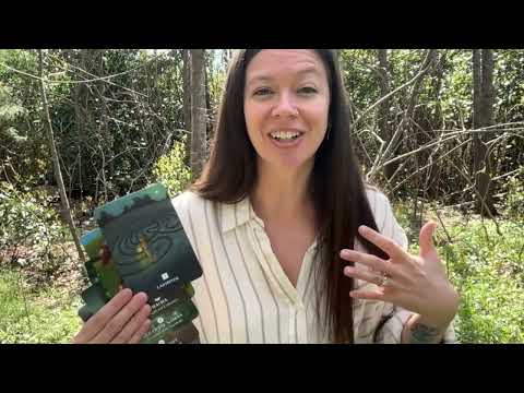The Illuminated Path - The Courage to Receive