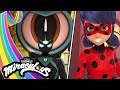 MIRACULOUS | 🐞 VÉRITÉ - Akumatisation  ☯️ | SAISON 4 | Les aventures de Ladybug et Chat Noir