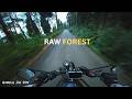 The Forest You Never Leave | Hunter 350 POV Ride