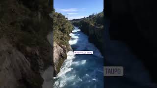 Magnificent Huka Fall, Taupo | Taupo Travel | Things to Do in Taupo | New Zealand || #shorts #travel