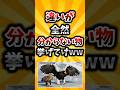 【2ch有益スレ】違いが全然分からないもの挙げてけww