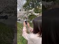 タミーチャンネル 桜の写真を上手に撮りたい 編 #shorts