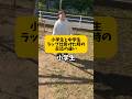 小学校卒業前後のMCバトル仕掛けた時の反応の差がやばいwww #韻 #小学生あるある