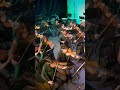 #orchestra #filmmusic #musicians #classicalmusic #youthorchestra #violin