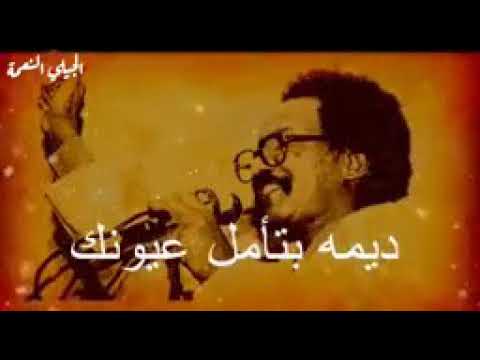 كل الأماني الحلوة لك