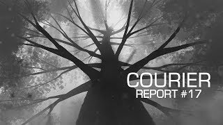 Courier Report #17 | Курьер Отчёт #17 | 2019