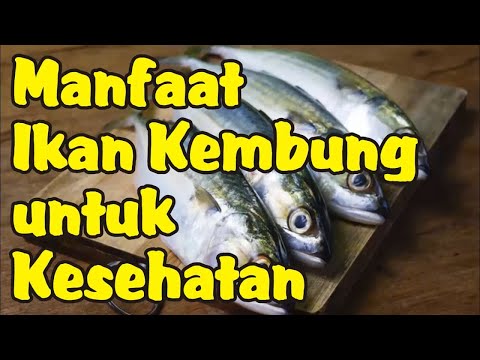 Manfaat Ikan Kembung untuk Kesehatan